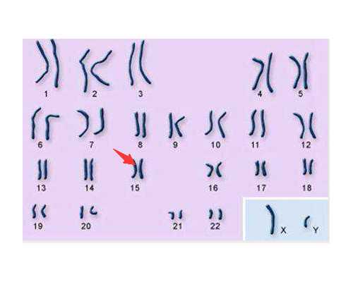 东莞比较出名的男男代生孩子医院大揭秘，东莞去哪做男男代生孩子生小孩