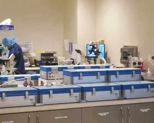 
              大连精子库在哪里？大医附一院可以供精可以做人授吗？
          