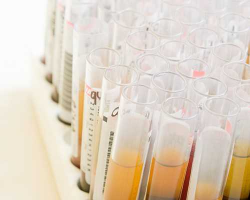 大连代生怎么样-大连借卵机构有哪些,2026年大连比较好的三代试管医院有几家