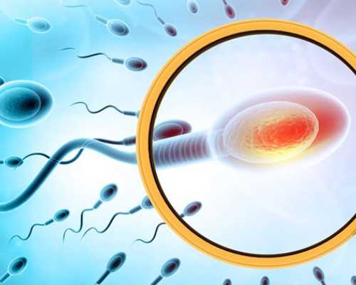 哪里做代孕最好,多囊卵巢做试管成功率高吗做一次多少钱，附三甲医院名单！