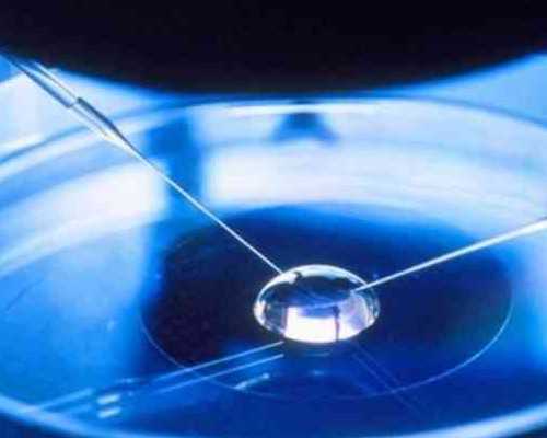 借卵借精能做试管代孕吗,不孕不育抽血检查哪几项（不孕不育要做哪些检查）