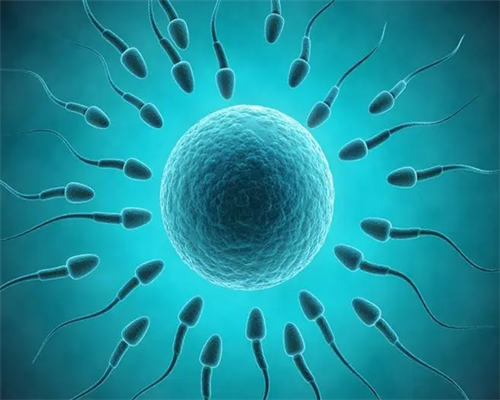 2026年大连最著名的医院三代试管婴儿哪些医院好,费用十万够不够!