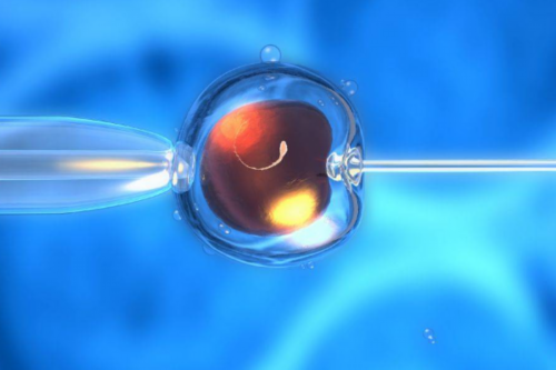 代孕儿子,卵巢功能不足还可以做试管婴儿吗?做一次试管要多少钱?