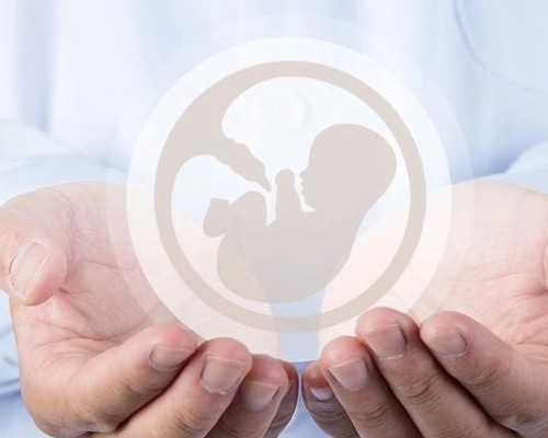 代孕公司咨询,试管婴儿的精子成活率是多少