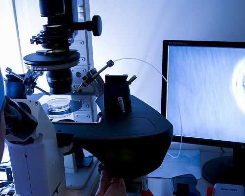 产后检查可以不去吗？产后康复的检查都有啥？