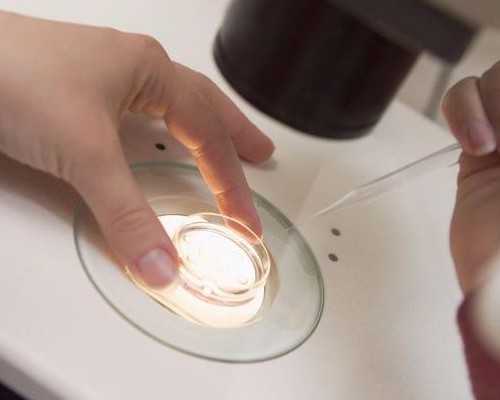 有正规的代孕公司吗,试管输卵管积水怎么切除(做试管输卵管积水是结扎还是切