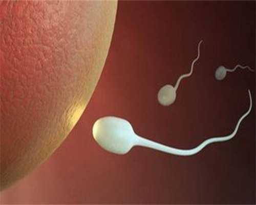 贵阳市第四人民医院试管婴儿代生成功率(福州市第一医院试管婴儿代生成功率