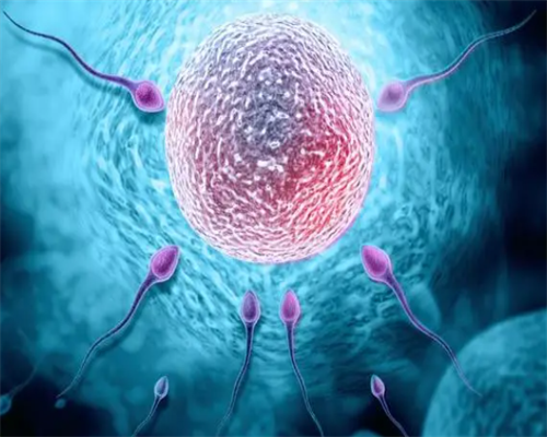 试管婴儿要有什么证件吗